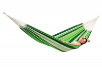 Paradiso oliva